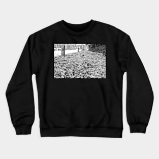 Path along the River Ant, Norfolk Crewneck Sweatshirt